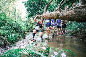 BIB: 
                            <button type="button" onclick="openModal(25475518)" class="btn btn-primary btn-sm float-right btn-popup" data-toggle="modal" data-target=".modal-high-quality">
                        <i class="fas fa-shopping-cart"></i> Add to Cart
                    </button>
                                            <button type="button" onclick="isThisMe(25475518, true)" class="btn btn-success btn-sm float-right btn-popup btn-isme hidden" data-toggle="tooltip" data-placement="bottom" title="นี่คือรูปของคุณใช่ไหม คลิกที่นี่เพื่อเอาเข้าอัลบั้ม">
                        <i class="fas fa-plus"></i> Add to album
                    </button>
                    <button type="button" onclick="isThisMe(25475518, false)" class="btn btn-warning btn-sm float-right btn-popup btn-isnotme hidden">
                        <i class="fas fa-ban"></i> Remove from album
                    </button>